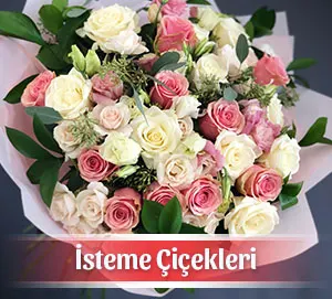 İsteme Çiçeği