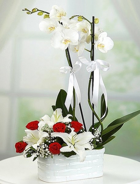orkide gül lilyum