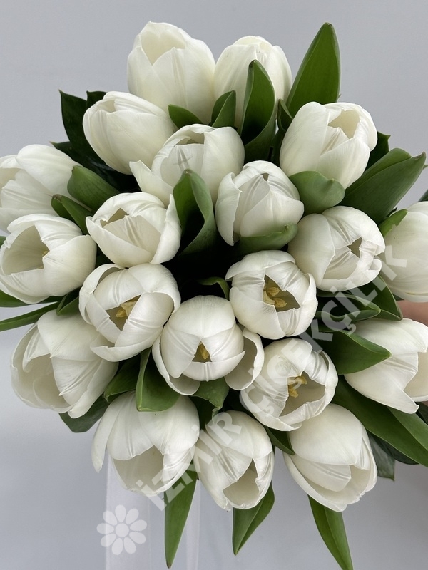 Beyaz Lale Gelin Çiçeği